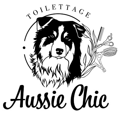 Toilettage Aussie chic